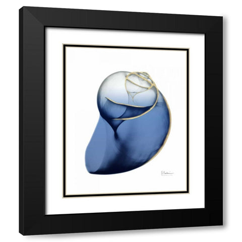 Shimmering Indigo Snail 2 Black Modern Wood Framed Art Print with Double Matting by Koetsier, Albert