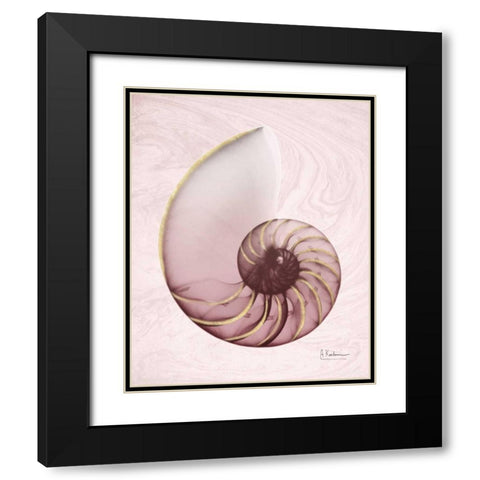 Marble Blush Snail 1 Black Modern Wood Framed Art Print with Double Matting by Koetsier, Albert