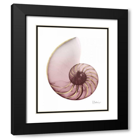 Shimmering Blush Snail 1 Black Modern Wood Framed Art Print with Double Matting by Koetsier, Albert