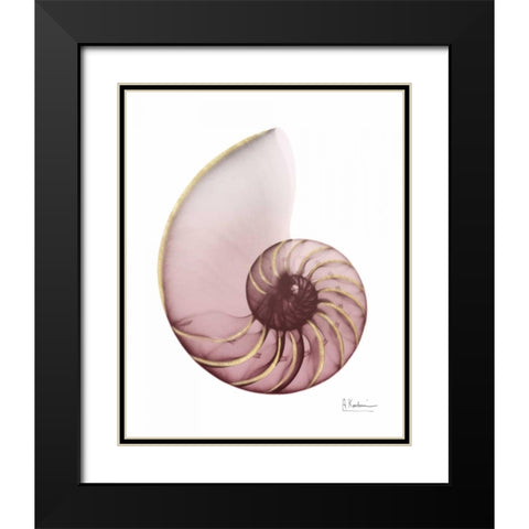 Shimmering Blush Snail 1 Black Modern Wood Framed Art Print with Double Matting by Koetsier, Albert