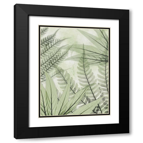 Prehistoric Awakening Black Modern Wood Framed Art Print with Double Matting by Koetsier, Albert