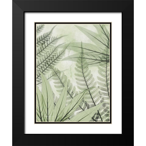 Prehistoric Awakening Black Modern Wood Framed Art Print with Double Matting by Koetsier, Albert