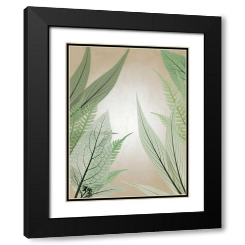 Jungle Cruise Black Modern Wood Framed Art Print with Double Matting by Koetsier, Albert