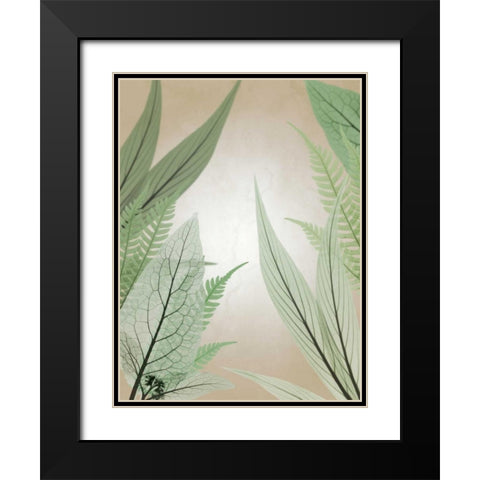 Jungle Cruise Black Modern Wood Framed Art Print with Double Matting by Koetsier, Albert