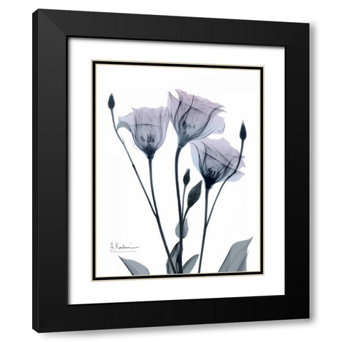 Midnight Gentian 1 Black Modern Wood Framed Art Print with Double Matting by Koetsier, Albert