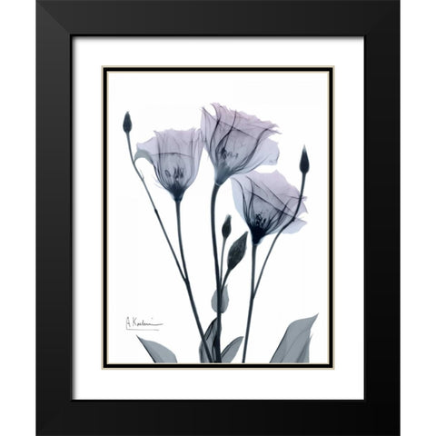 Midnight Gentian 1 Black Modern Wood Framed Art Print with Double Matting by Koetsier, Albert