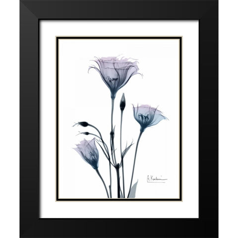 Midnight Gentian 2 Black Modern Wood Framed Art Print with Double Matting by Koetsier, Albert