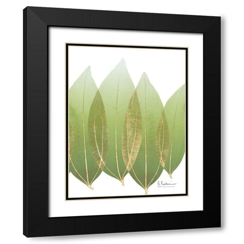 Golden Coculus Black Modern Wood Framed Art Print with Double Matting by Koetsier, Albert