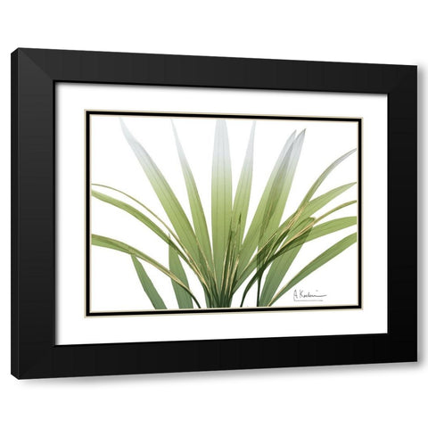 Golden Palm Black Modern Wood Framed Art Print with Double Matting by Koetsier, Albert