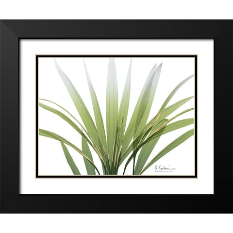 Golden Palm Black Modern Wood Framed Art Print with Double Matting by Koetsier, Albert