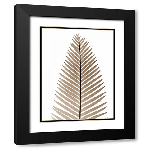 Earthly Fern 2 Black Modern Wood Framed Art Print with Double Matting by Koetsier, Albert