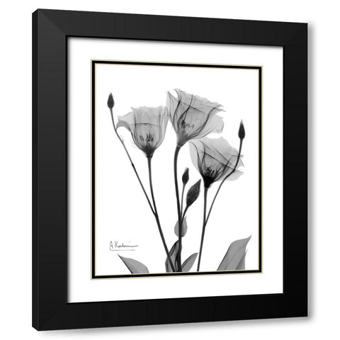 Night Gentian 1 Black Modern Wood Framed Art Print with Double Matting by Koetsier, Albert