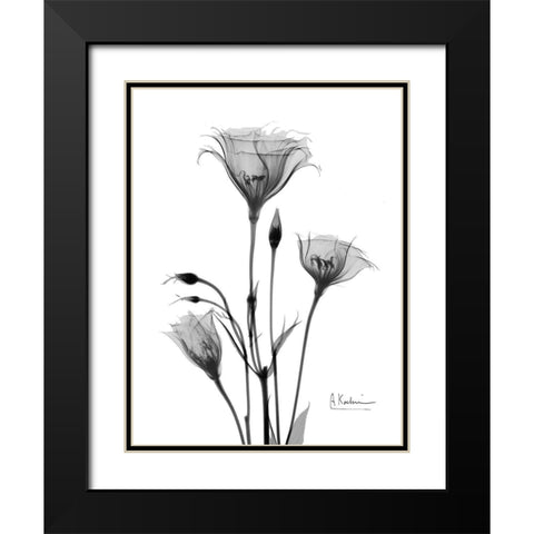 Night Gentian 2 Black Modern Wood Framed Art Print with Double Matting by Koetsier, Albert