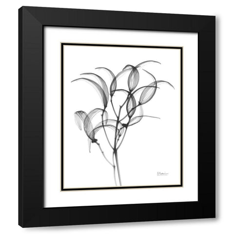 Nightly Oleander Bush Black Modern Wood Framed Art Print with Double Matting by Koetsier, Albert