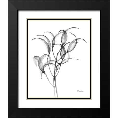 Nightly Oleander Bush Black Modern Wood Framed Art Print with Double Matting by Koetsier, Albert