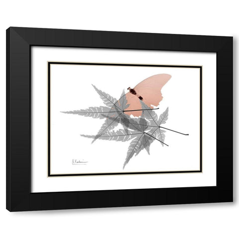 Hidden Flight 1 Black Modern Wood Framed Art Print with Double Matting by Koetsier, Albert