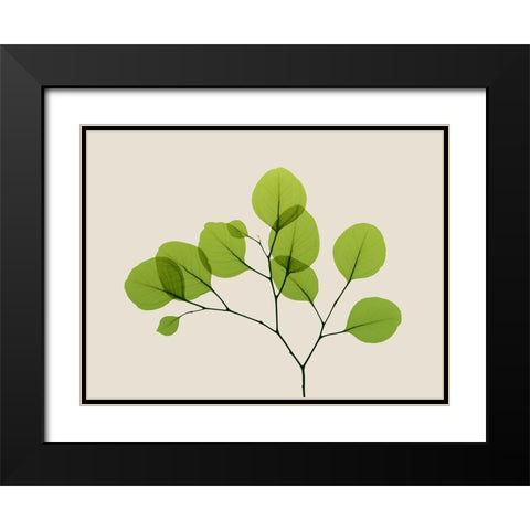 Natural Greenery 2 Black Modern Wood Framed Art Print with Double Matting by Koetsier, Albert