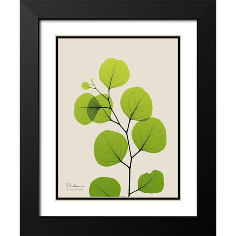 Natural Greenery 3 Black Modern Wood Framed Art Print with Double Matting by Koetsier, Albert