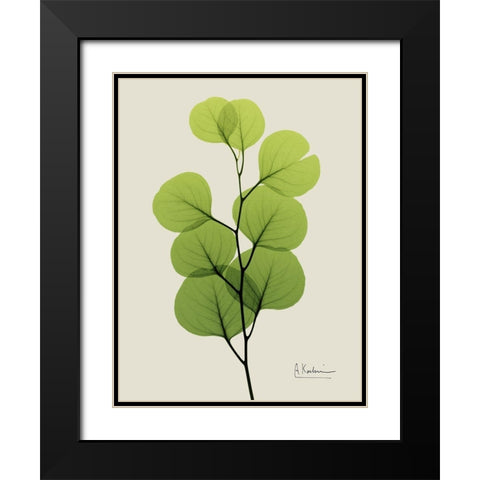 Natural Greenery 4 Black Modern Wood Framed Art Print with Double Matting by Koetsier, Albert