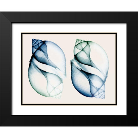 Split Breeze 1 Black Modern Wood Framed Art Print with Double Matting by Koetsier, Albert