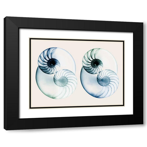 Split Breeze 2 Black Modern Wood Framed Art Print with Double Matting by Koetsier, Albert