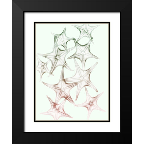 Sweet Starfish 2 Black Modern Wood Framed Art Print with Double Matting by Koetsier, Albert