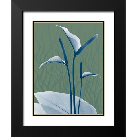 Blue Sage Dawn 2 Black Modern Wood Framed Art Print with Double Matting by Koetsier, Albert