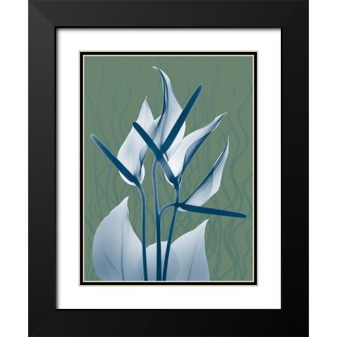 Blue Sage Dawn 2 Black Modern Wood Framed Art Print with Double Matting by Koetsier, Albert