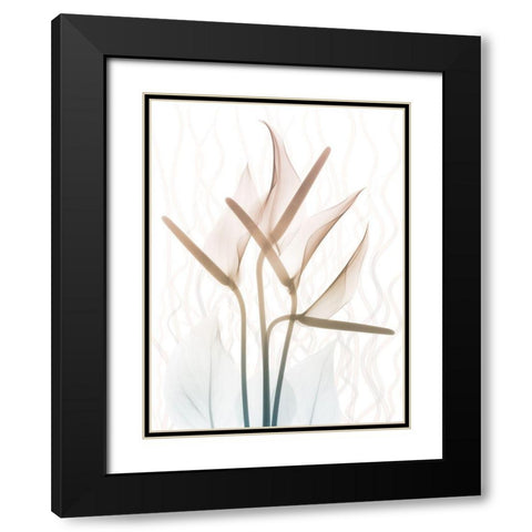 Toned Dawn 2 Black Modern Wood Framed Art Print with Double Matting by Koetsier, Albert