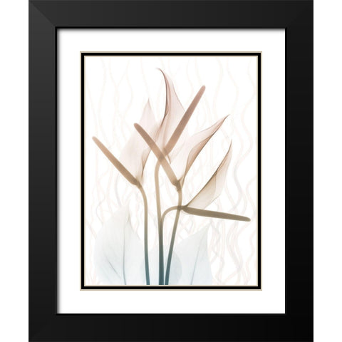 Toned Dawn 2 Black Modern Wood Framed Art Print with Double Matting by Koetsier, Albert