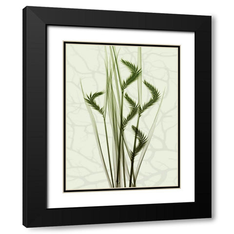 Toned Greens 1 Black Modern Wood Framed Art Print with Double Matting by Koetsier, Albert