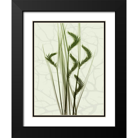 Toned Greens 1 Black Modern Wood Framed Art Print with Double Matting by Koetsier, Albert