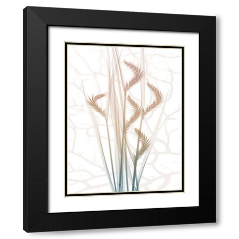 Toned Dawn 3 Black Modern Wood Framed Art Print with Double Matting by Koetsier, Albert