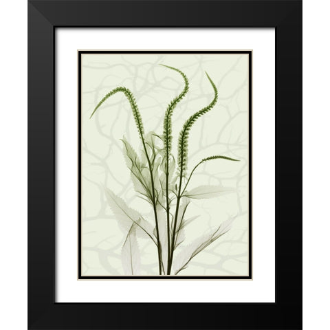 Toned Greens 2 Black Modern Wood Framed Art Print with Double Matting by Koetsier, Albert