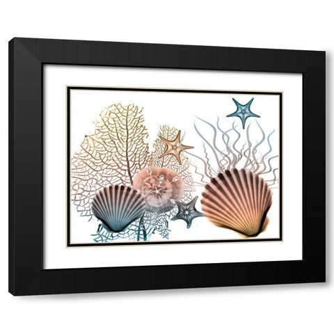 Sea Collective 2 Black Modern Wood Framed Art Print with Double Matting by Koetsier, Albert