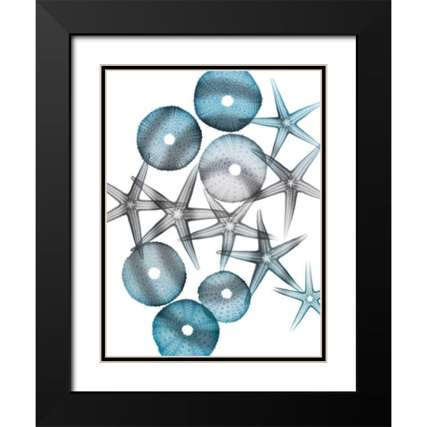 Blue Hue Starfish 1 Black Modern Wood Framed Art Print with Double Matting by Koetsier, Albert