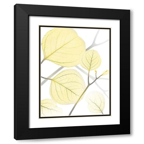 Illuminated Eternity 1 Black Modern Wood Framed Art Print with Double Matting by Koetsier, Albert