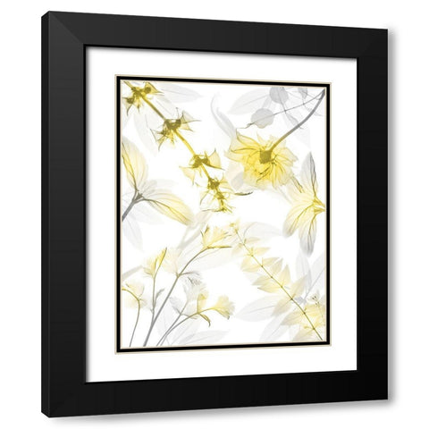 Reaching Brightness 2 Black Modern Wood Framed Art Print with Double Matting by Koetsier, Albert