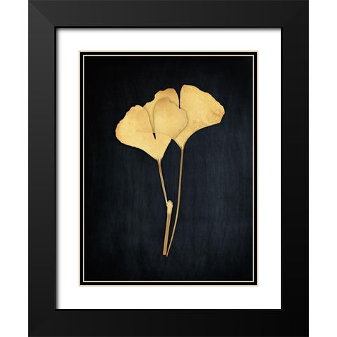 Midas Ginkgo i Black Modern Wood Framed Art Print with Double Matting by Koetsier, Albert