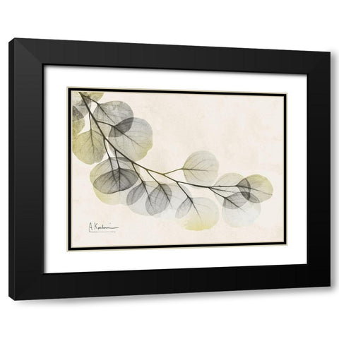 Sunkissed Eucalyptus Black Modern Wood Framed Art Print with Double Matting by Koetsier, Albert