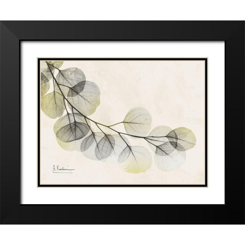 Sunkissed Eucalyptus Black Modern Wood Framed Art Print with Double Matting by Koetsier, Albert