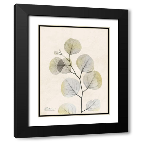 Sunkissed Eucalyptus 3 Black Modern Wood Framed Art Print with Double Matting by Koetsier, Albert