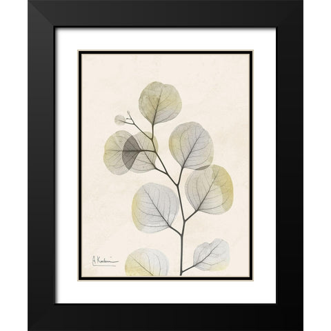 Sunkissed Eucalyptus 3 Black Modern Wood Framed Art Print with Double Matting by Koetsier, Albert