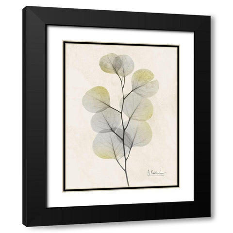 Sunkissed Eucalyptus 4 Black Modern Wood Framed Art Print with Double Matting by Koetsier, Albert