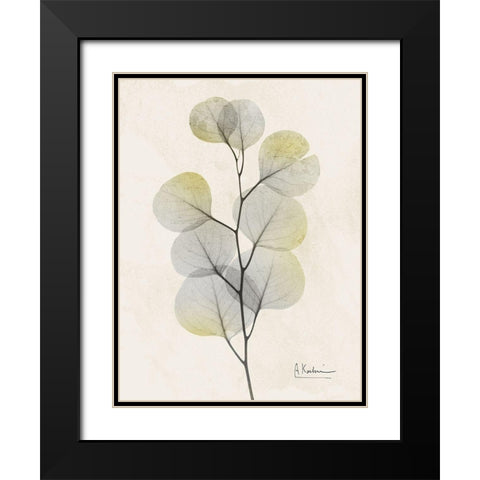 Sunkissed Eucalyptus 4 Black Modern Wood Framed Art Print with Double Matting by Koetsier, Albert