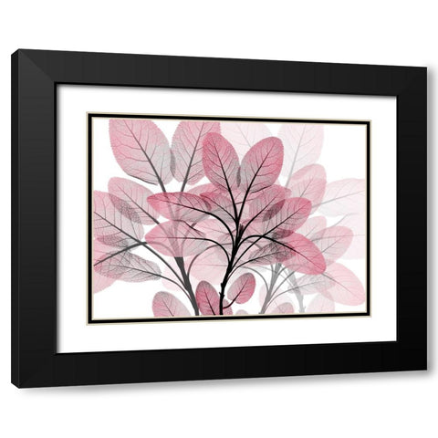 Magenta Embrace 1 Black Modern Wood Framed Art Print with Double Matting by Koetsier, Albert