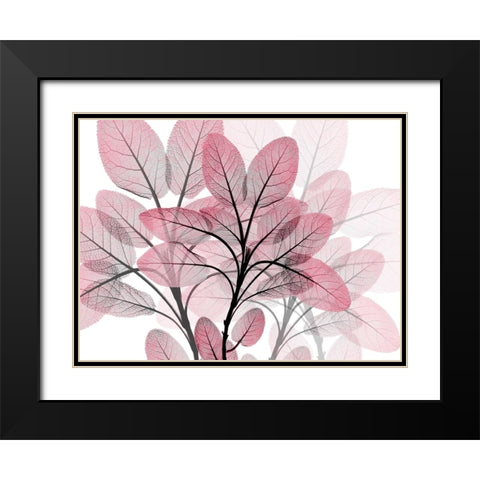 Magenta Embrace 1 Black Modern Wood Framed Art Print with Double Matting by Koetsier, Albert