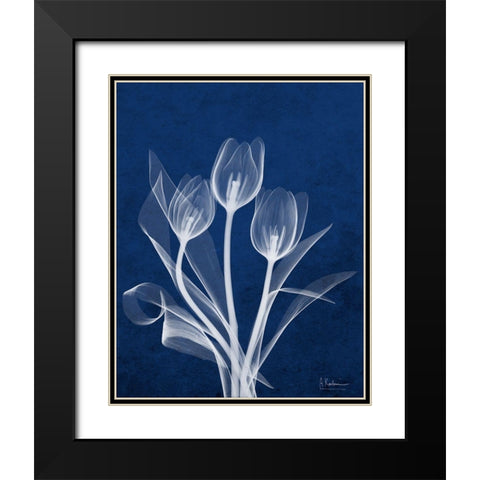 Ecto Indigo Tulips Black Modern Wood Framed Art Print with Double Matting by Koetsier, Albert