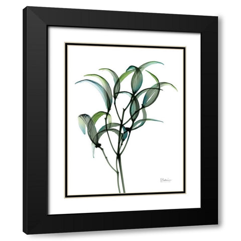 Shimmering Botanical 1 Black Modern Wood Framed Art Print with Double Matting by Koetsier, Albert