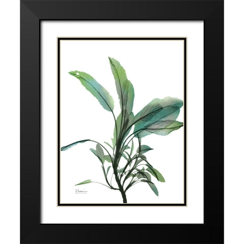 Shimmering Botanical 2 Black Modern Wood Framed Art Print with Double Matting by Koetsier, Albert